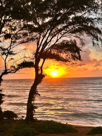 Beautiful sunrises every morning!