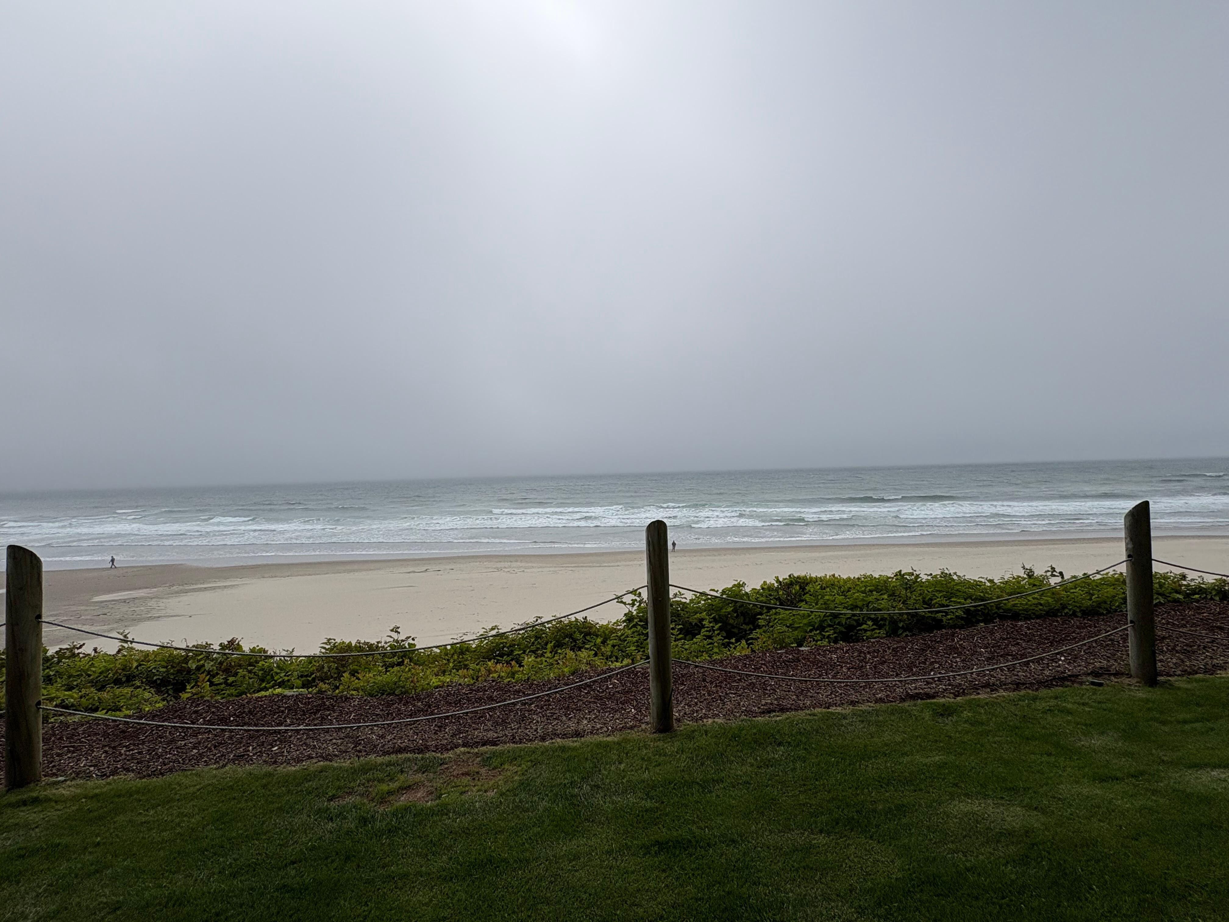 View from the patio on the first floor. 