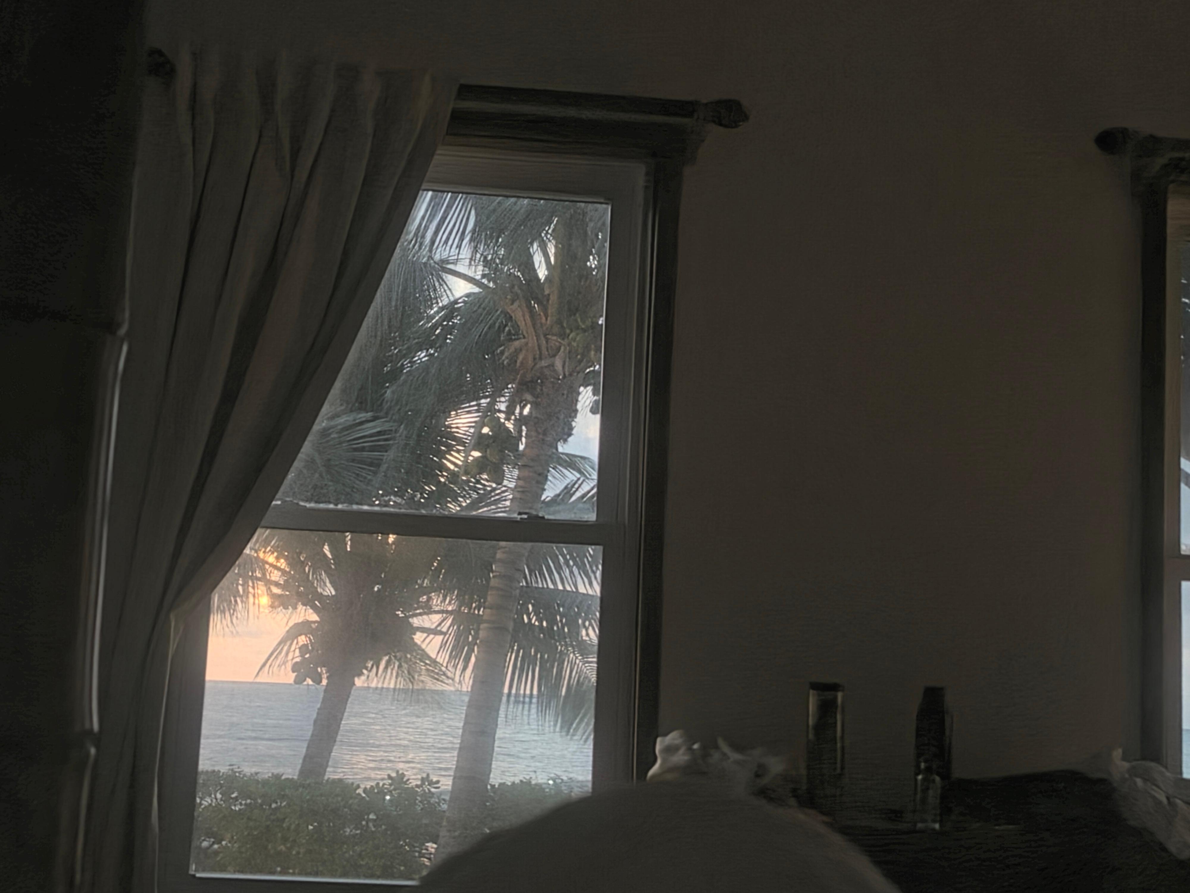 Sunrise from my bed.