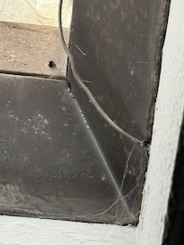 Skylight with dirt and cobwebs.