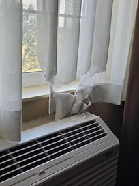 Torn curtain.