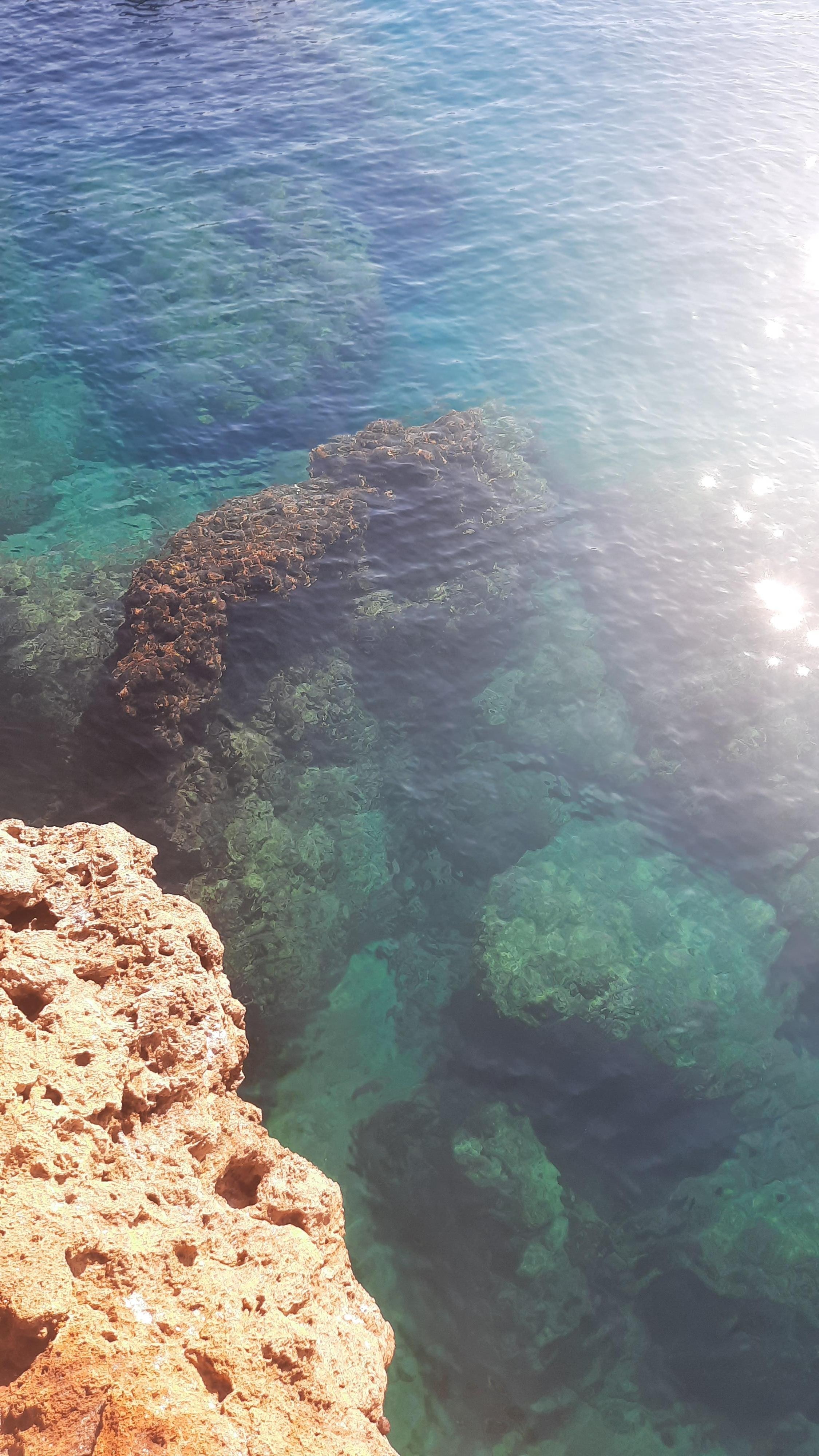 The water is so clear