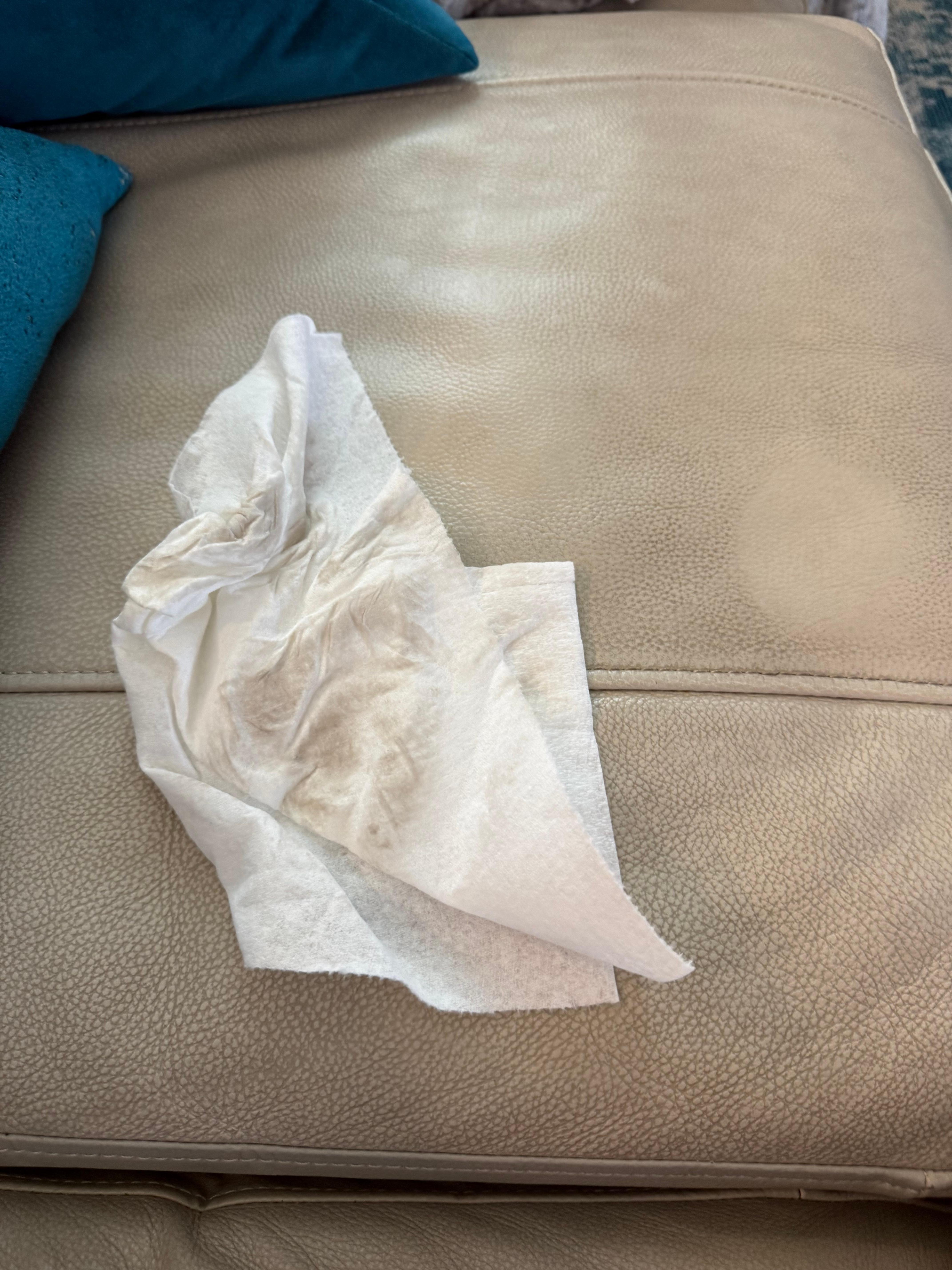 Dirty leather sofa you can see where I wiped it the only clean spot