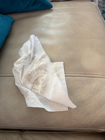Dirty leather sofa you can see where I wiped it the only clean spot