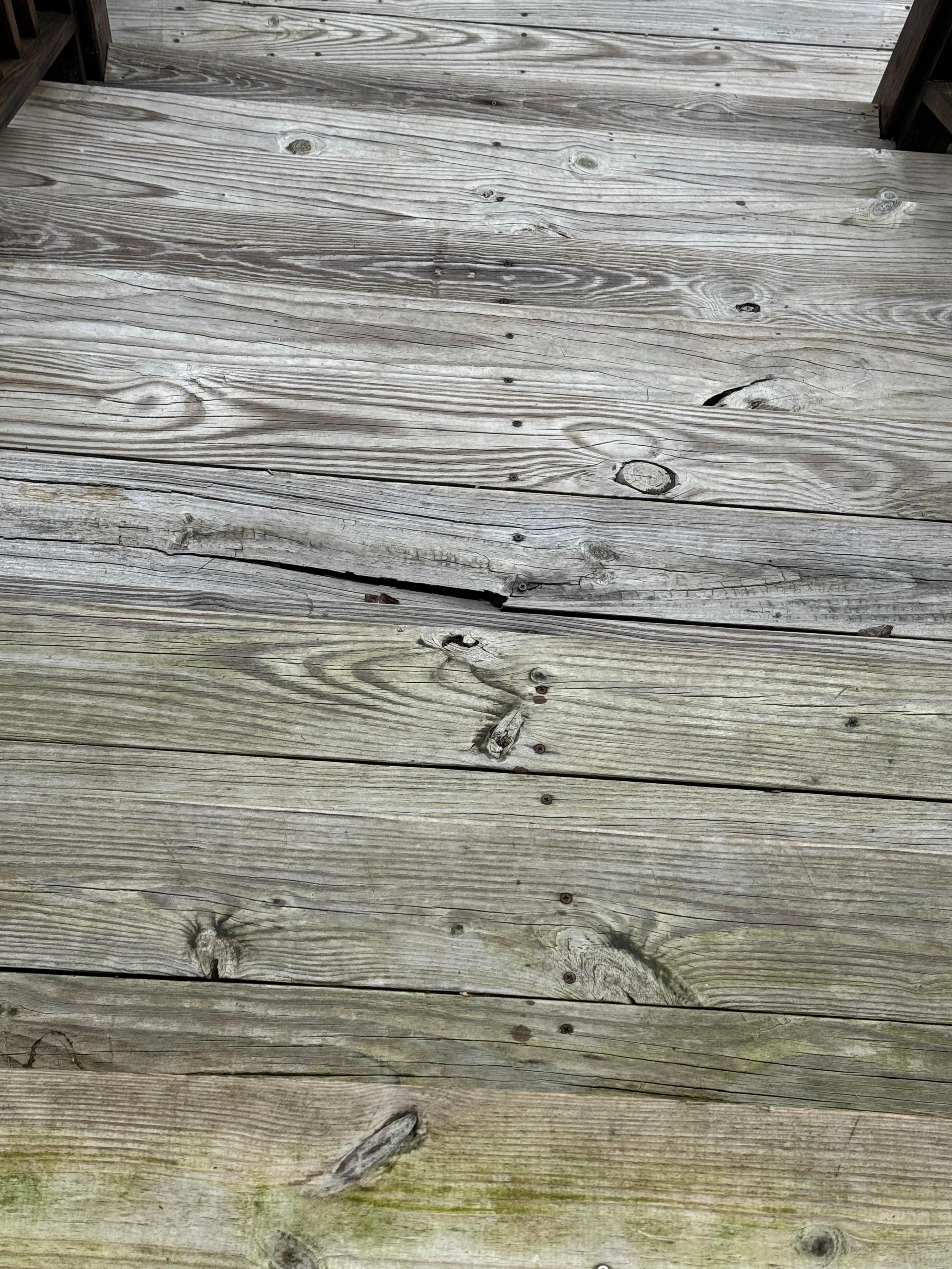 Rotted and broken step