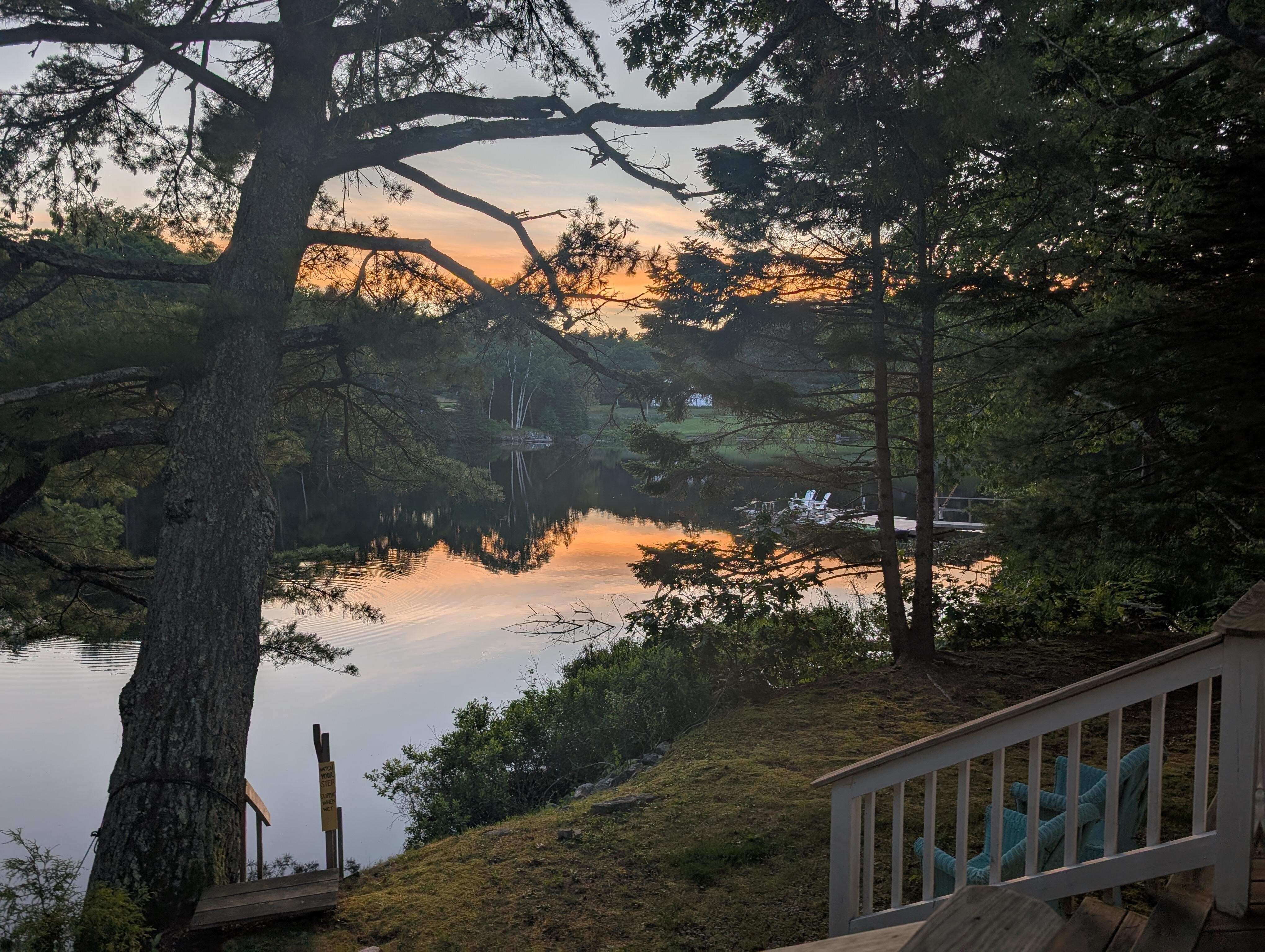 From the back porch