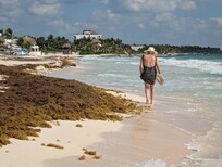 Walking north - Angelina 28 is the tallest building.