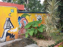 One of the many murals you'll find inside the oasis