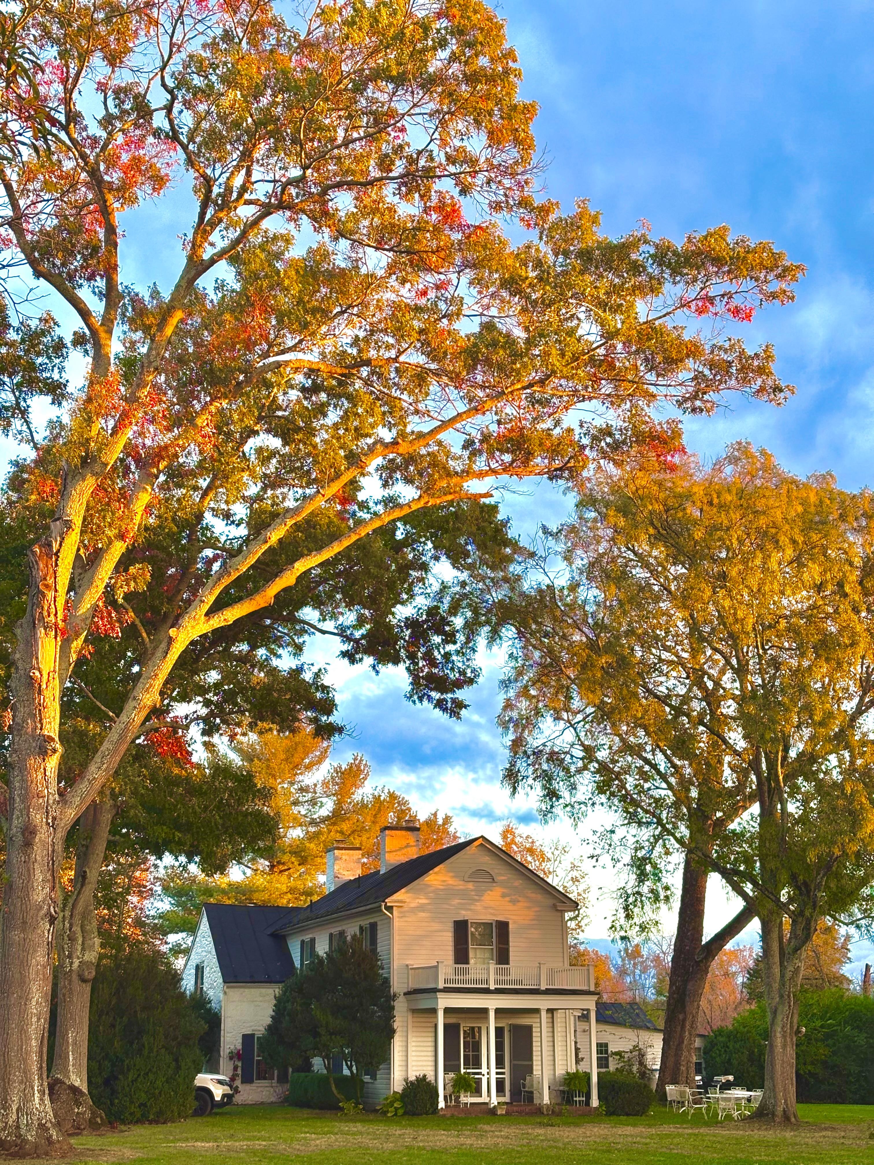 Main house in morning sun.
