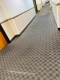 Hallway carpet