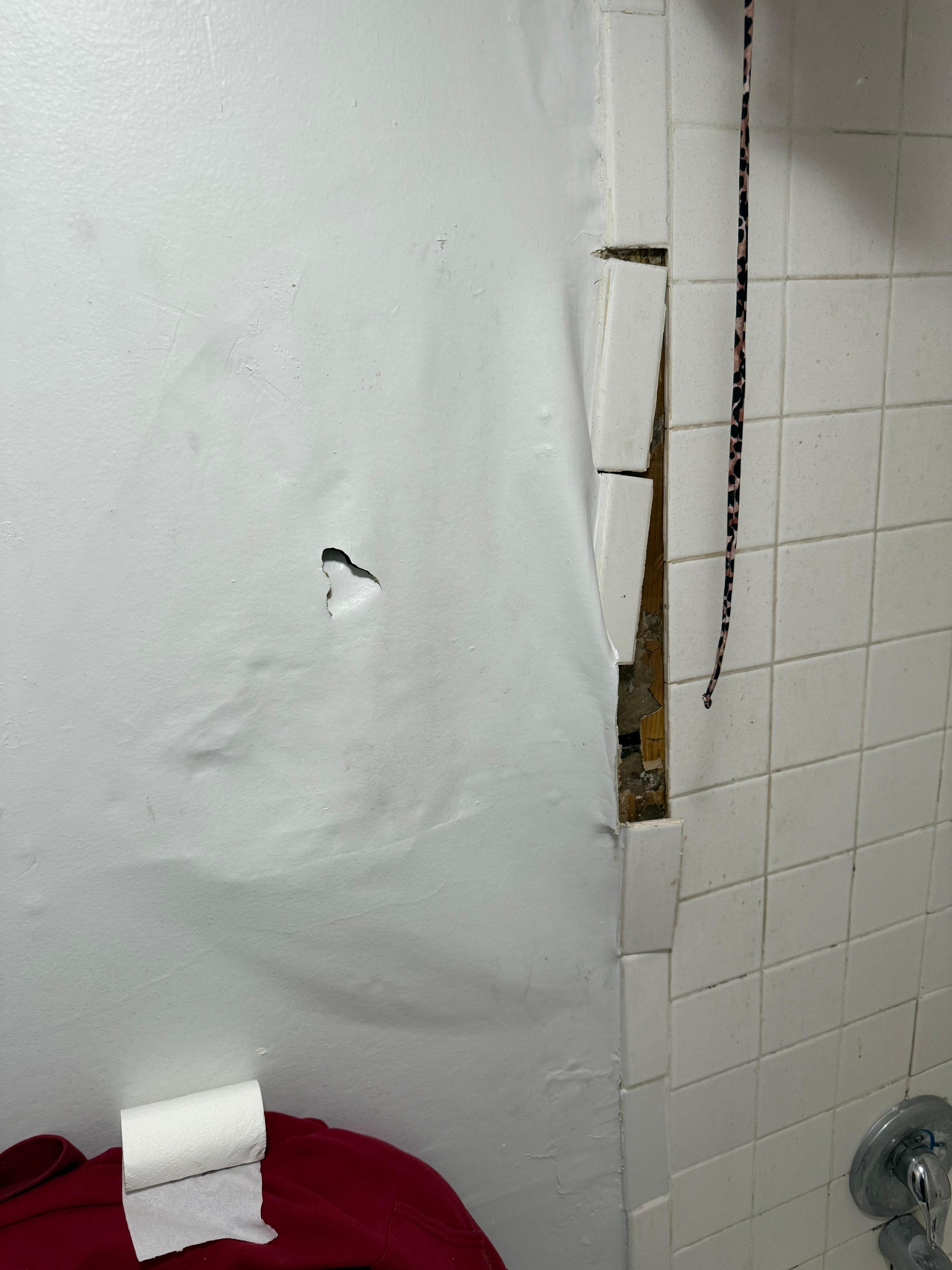 Tiles in bathroom falling off wall. 