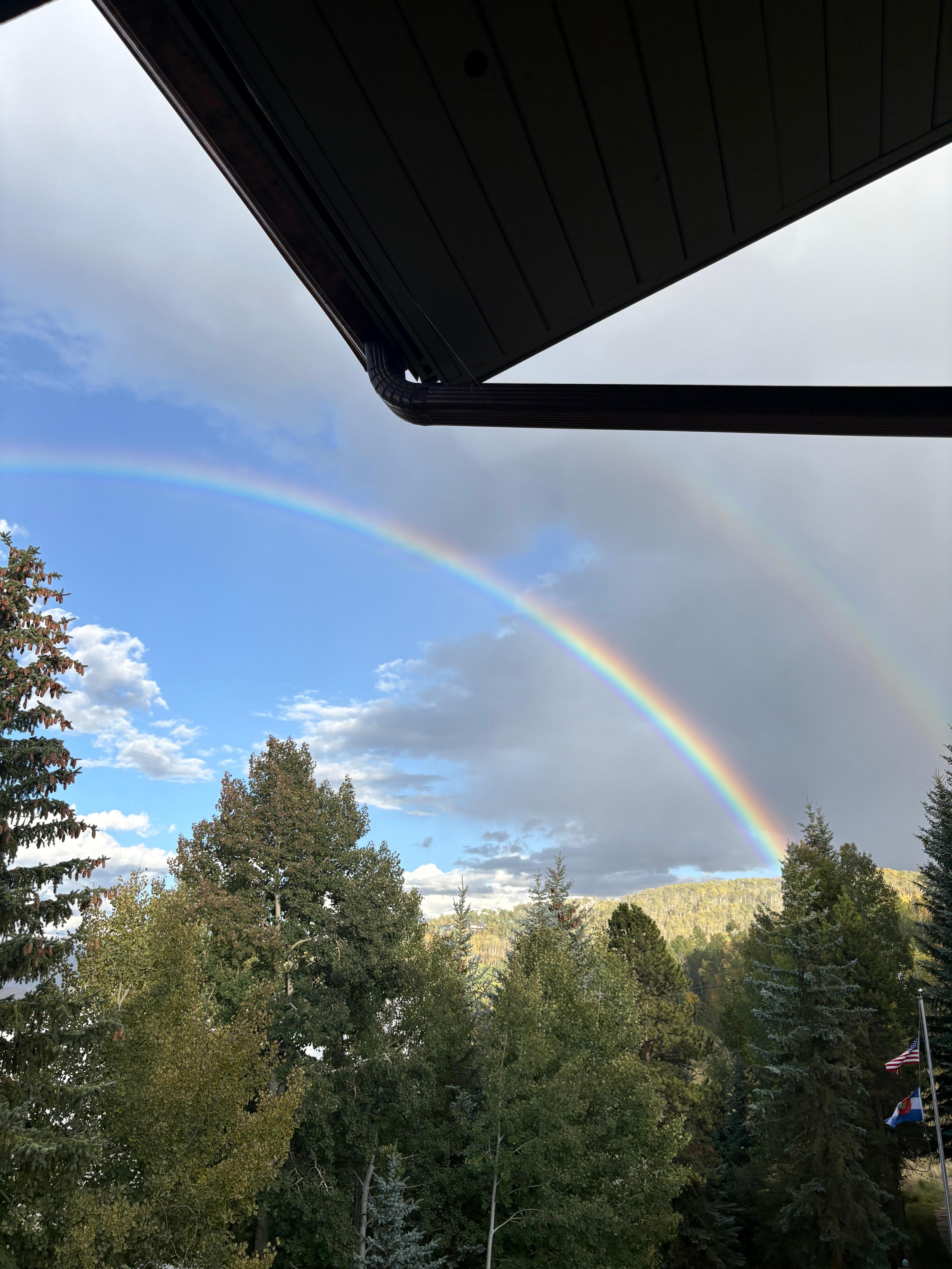 View from living room 