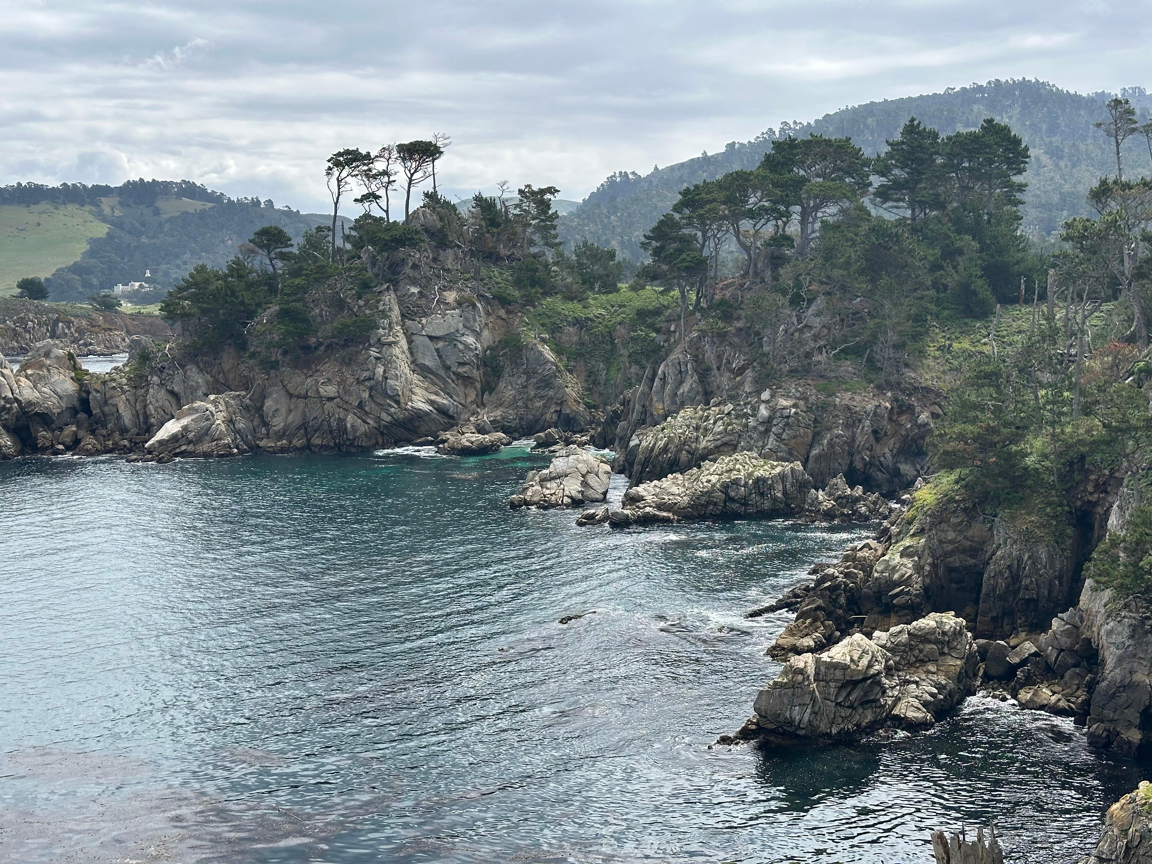 Point lobos state park 