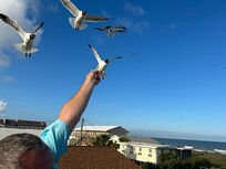 We enjoy the beauty of the birds.