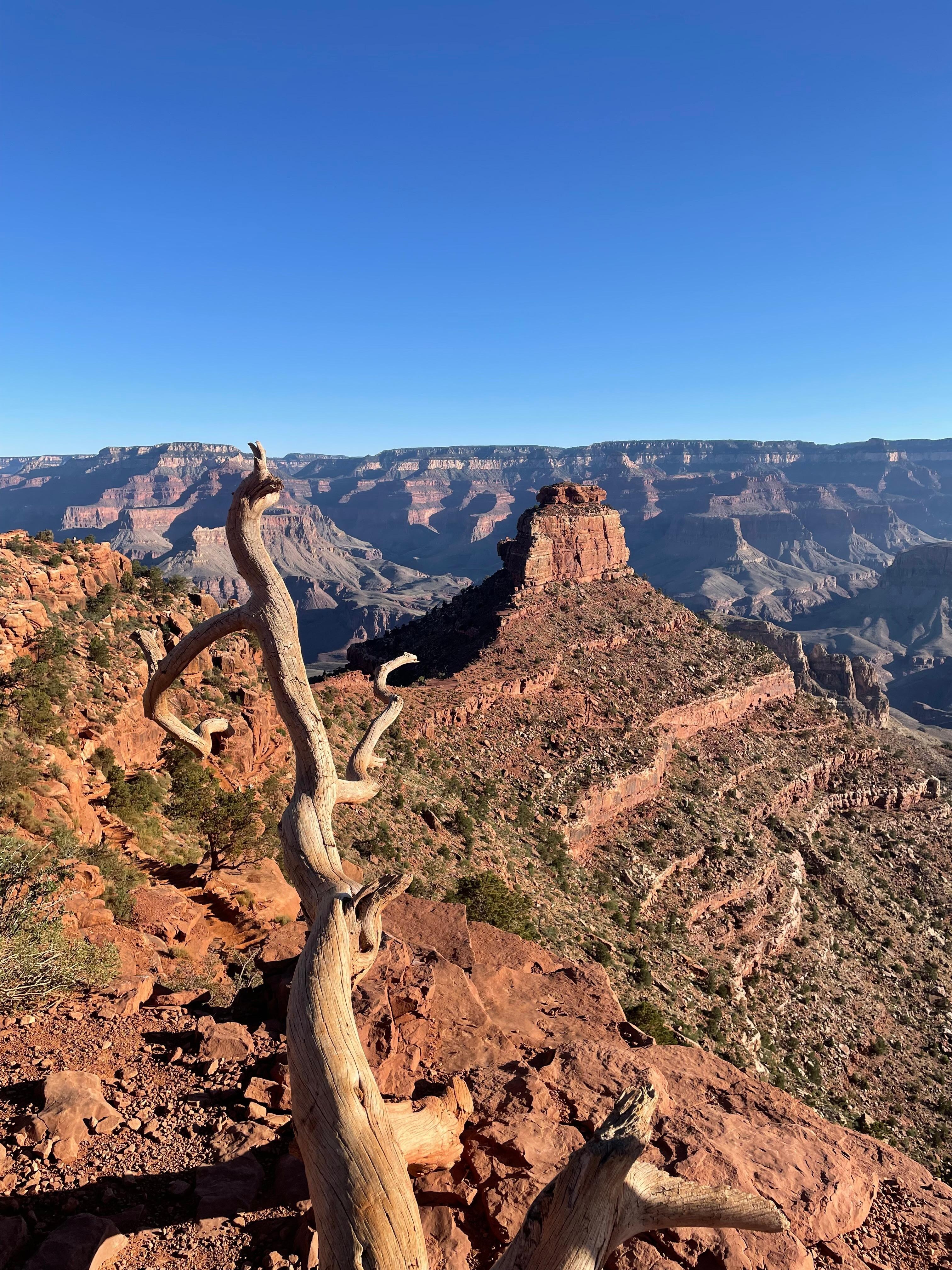 Grand Canyon