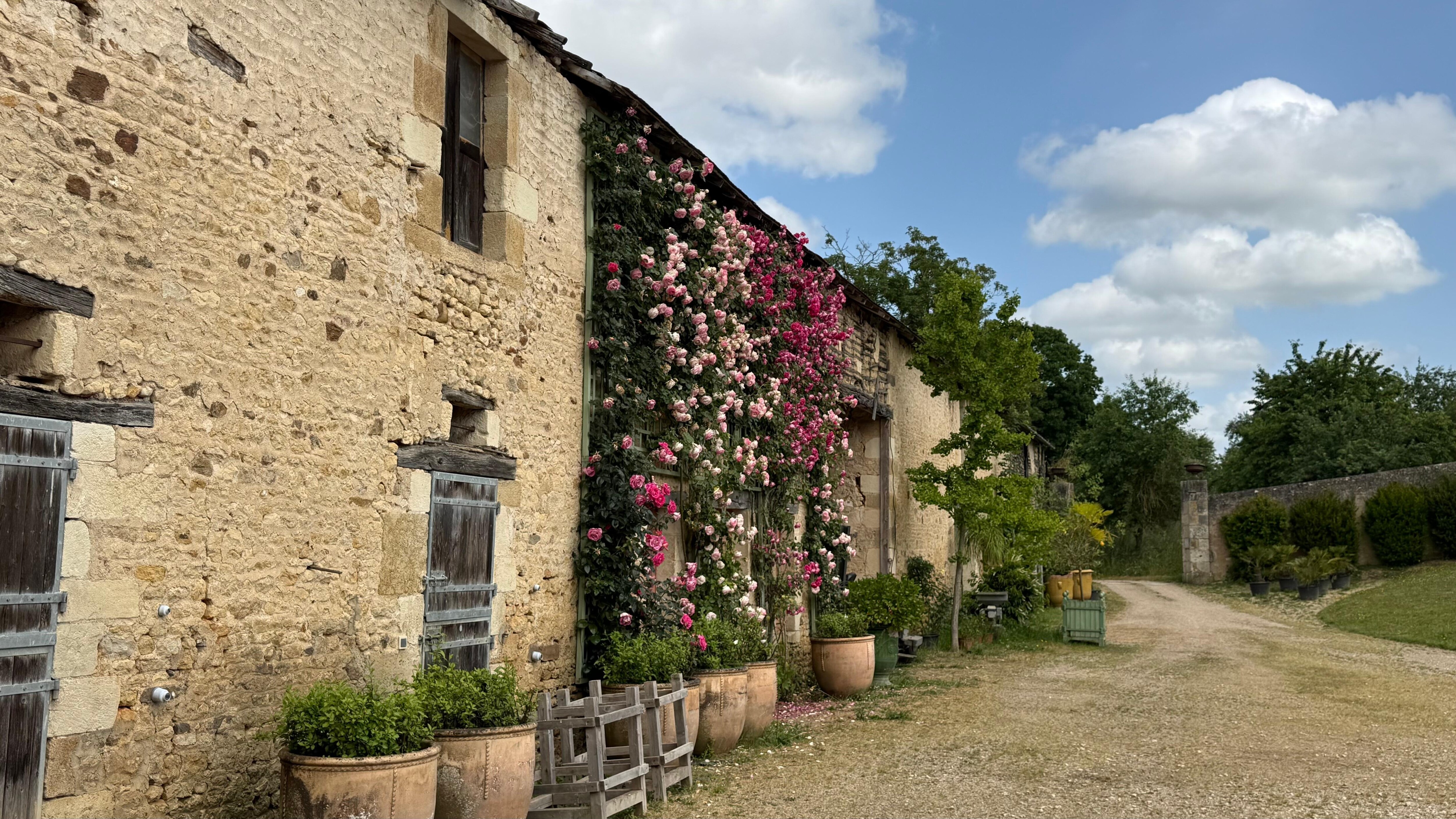 Their storage and rose vine