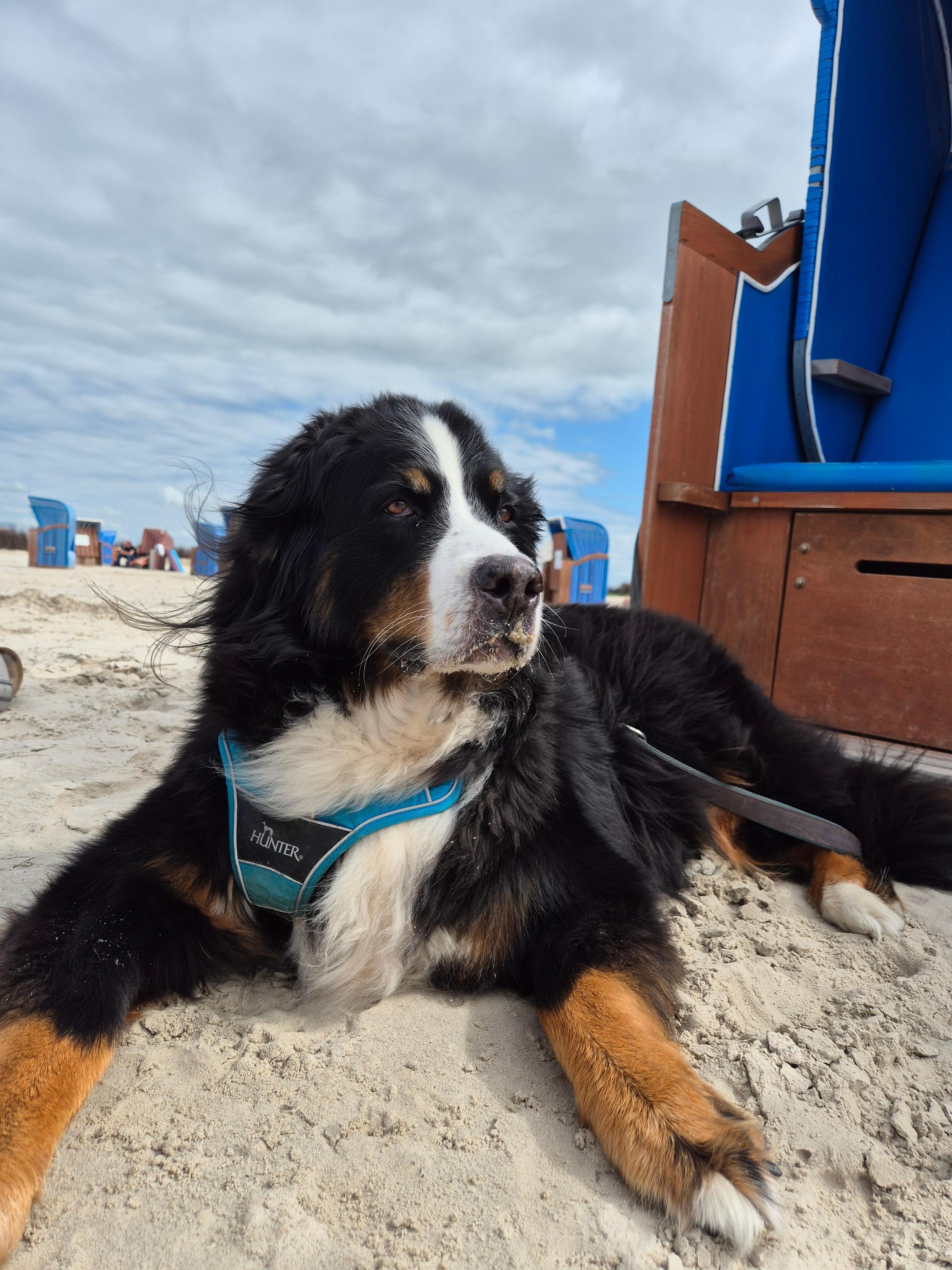 Am Strand