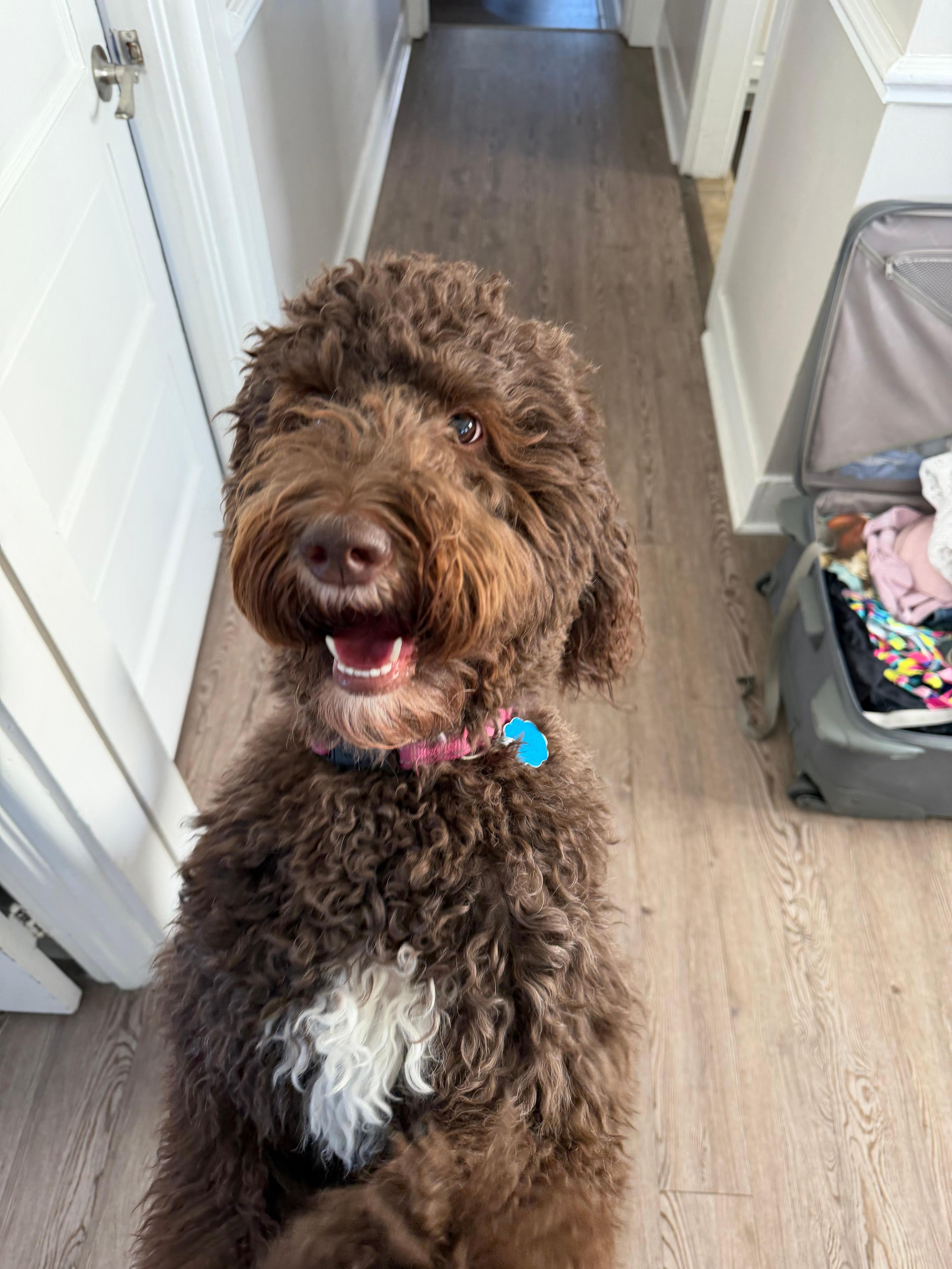 Jolene loved her vacation! 