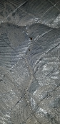 Dirt on the mattress