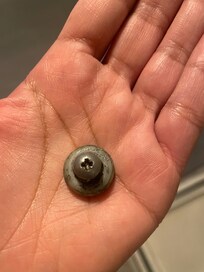 The screw from the shower door that came off making the door unusable.