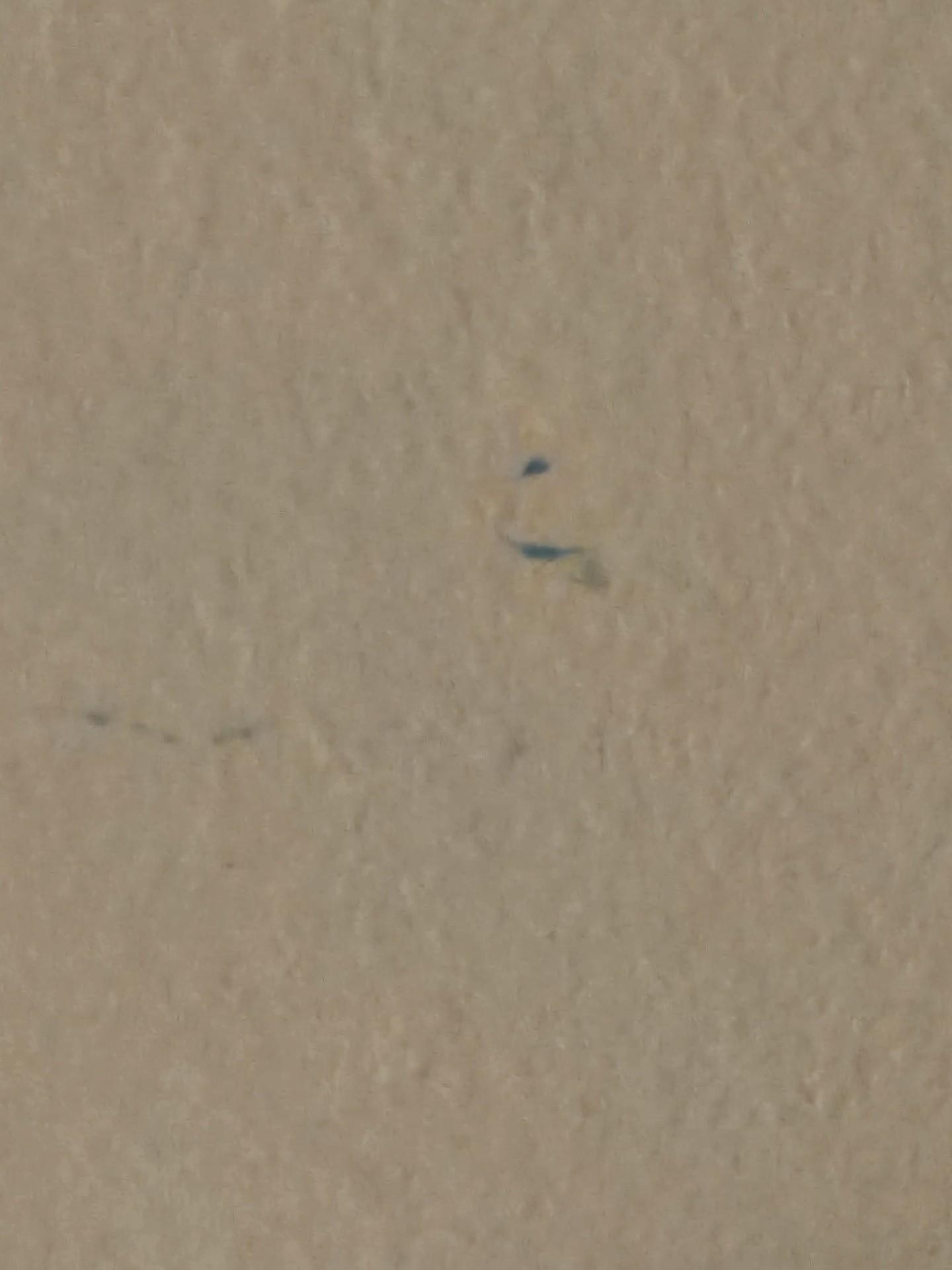 Toothpaste on the wall in bathroom