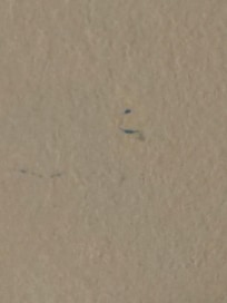 Toothpaste on the wall in bathroom