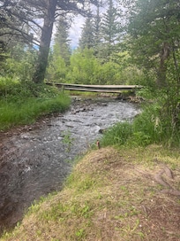 Backyard view of river