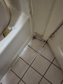 Roach is coming out of the wall next to the tub