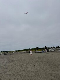 Beach and kite flying