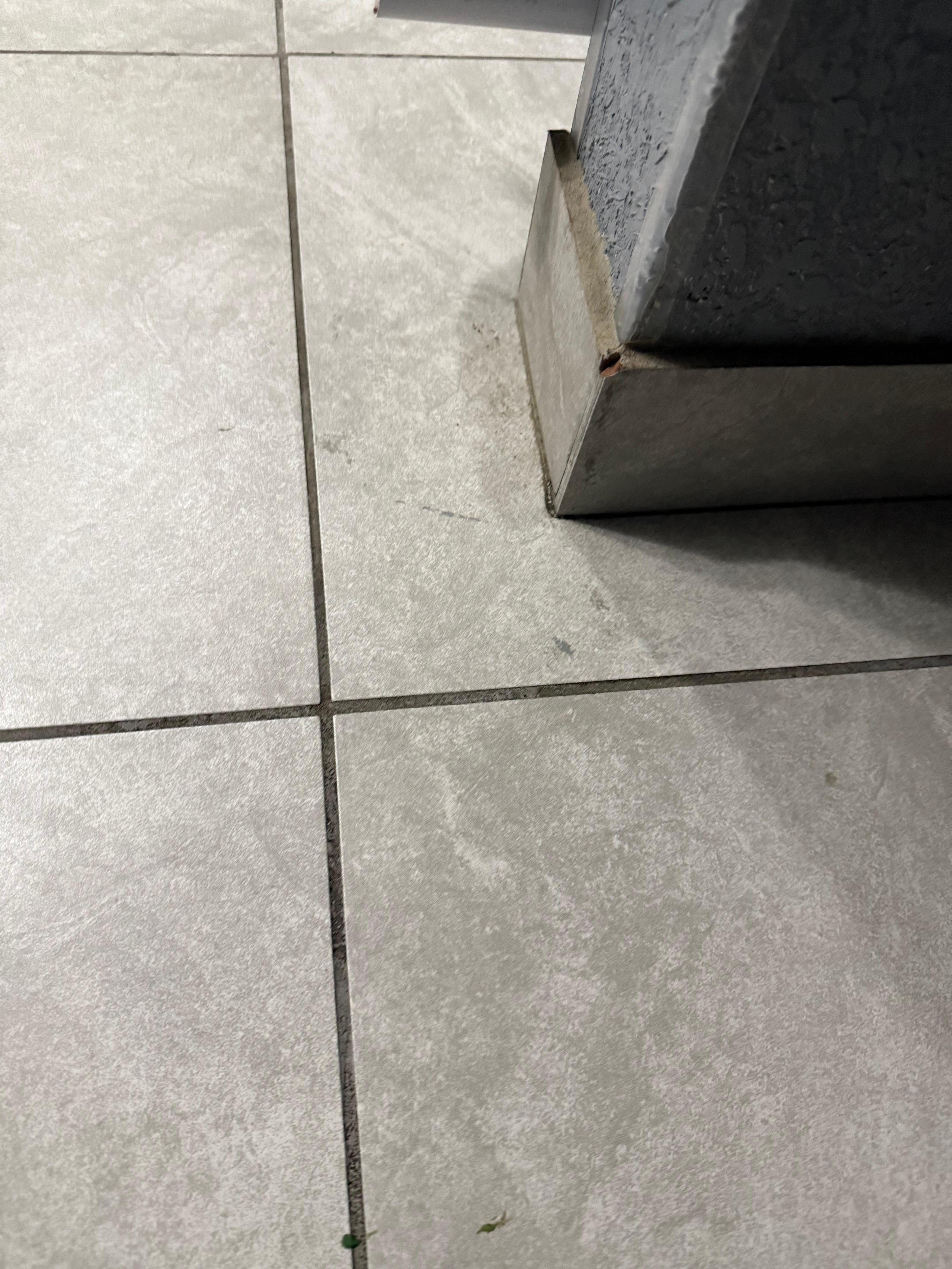 Dirt on restroom floors/walls