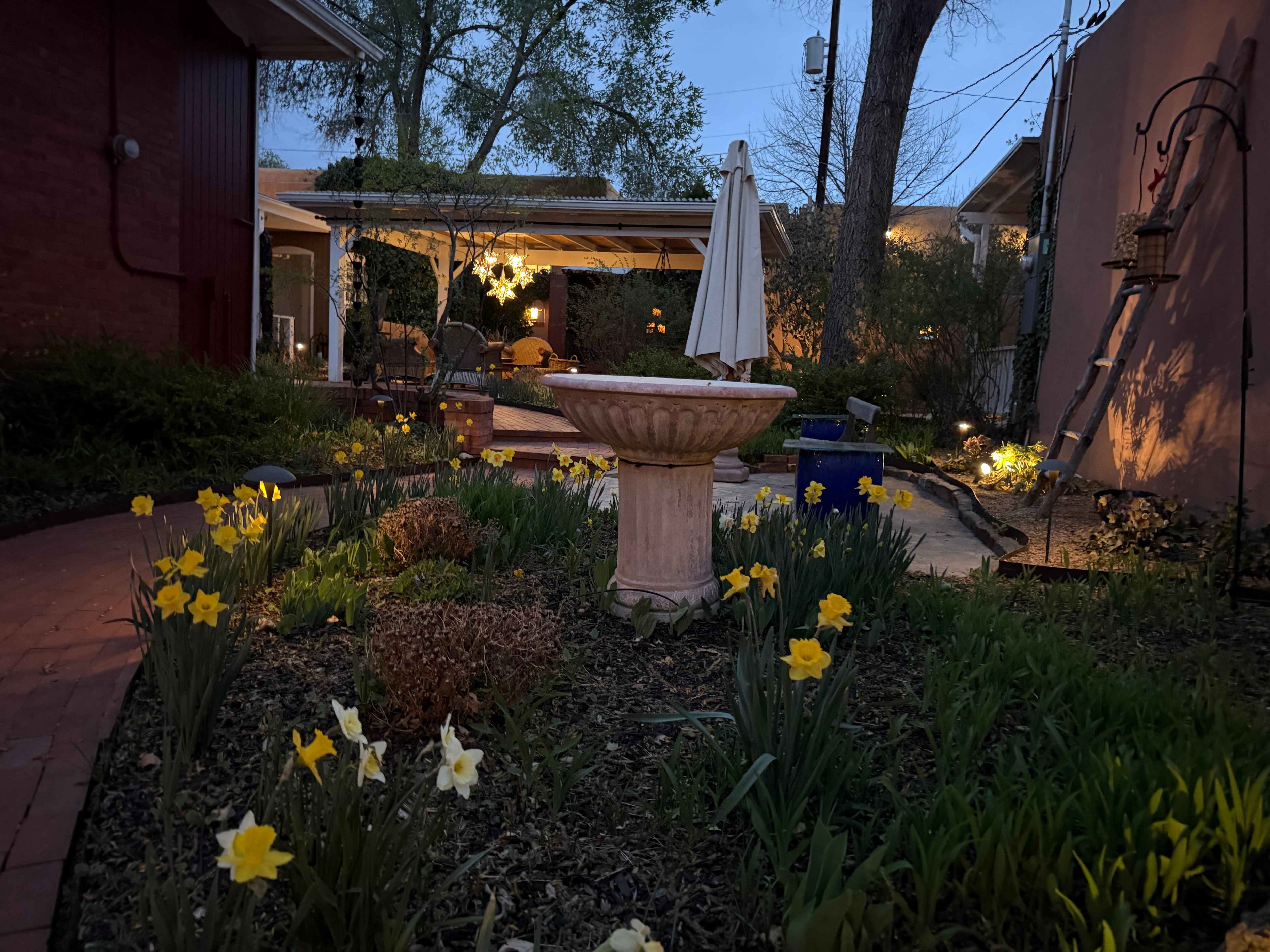 Quiet Evening at Casa Culinaria 