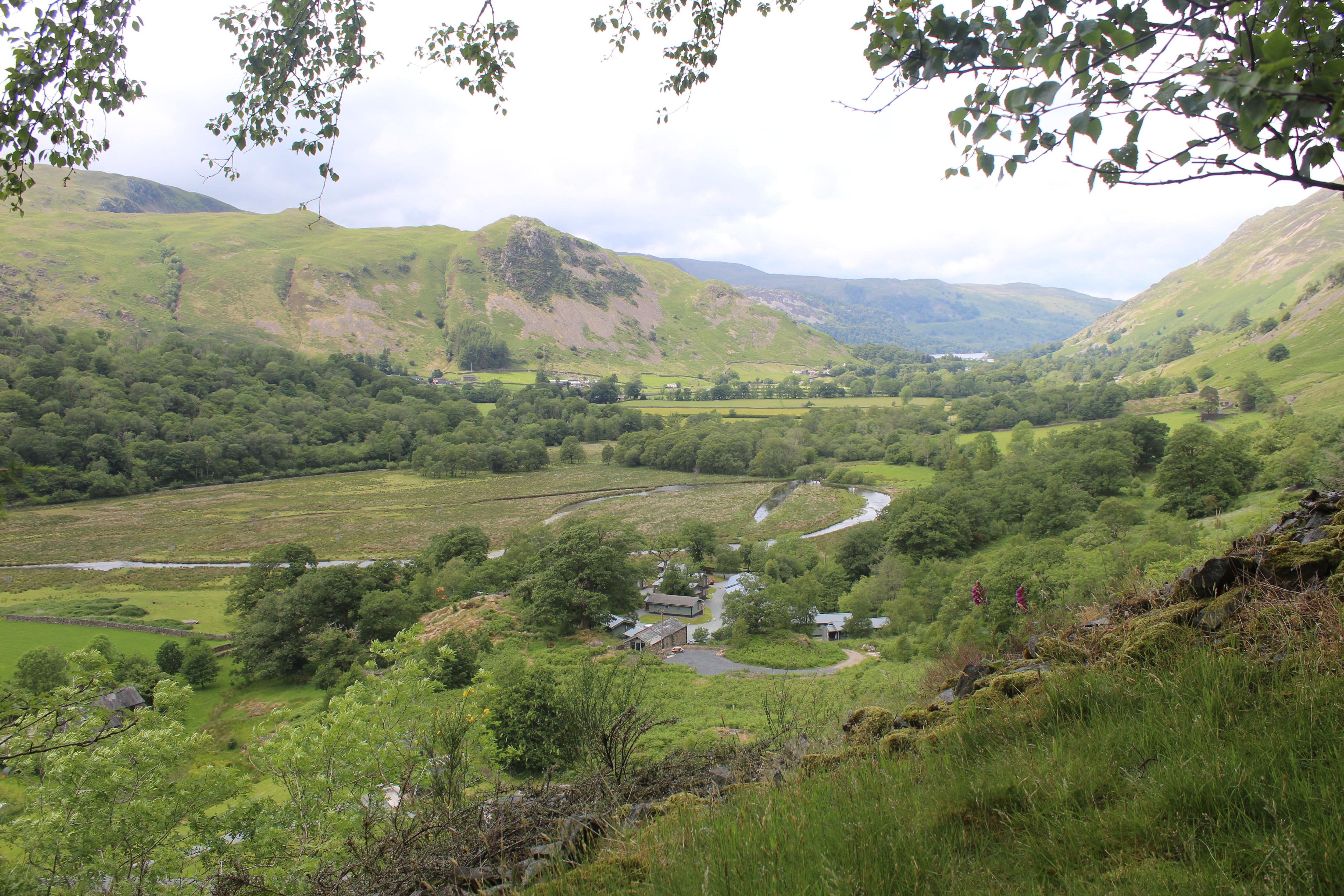 View from the back garden
