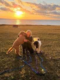 Sunrise right on the back lawn!