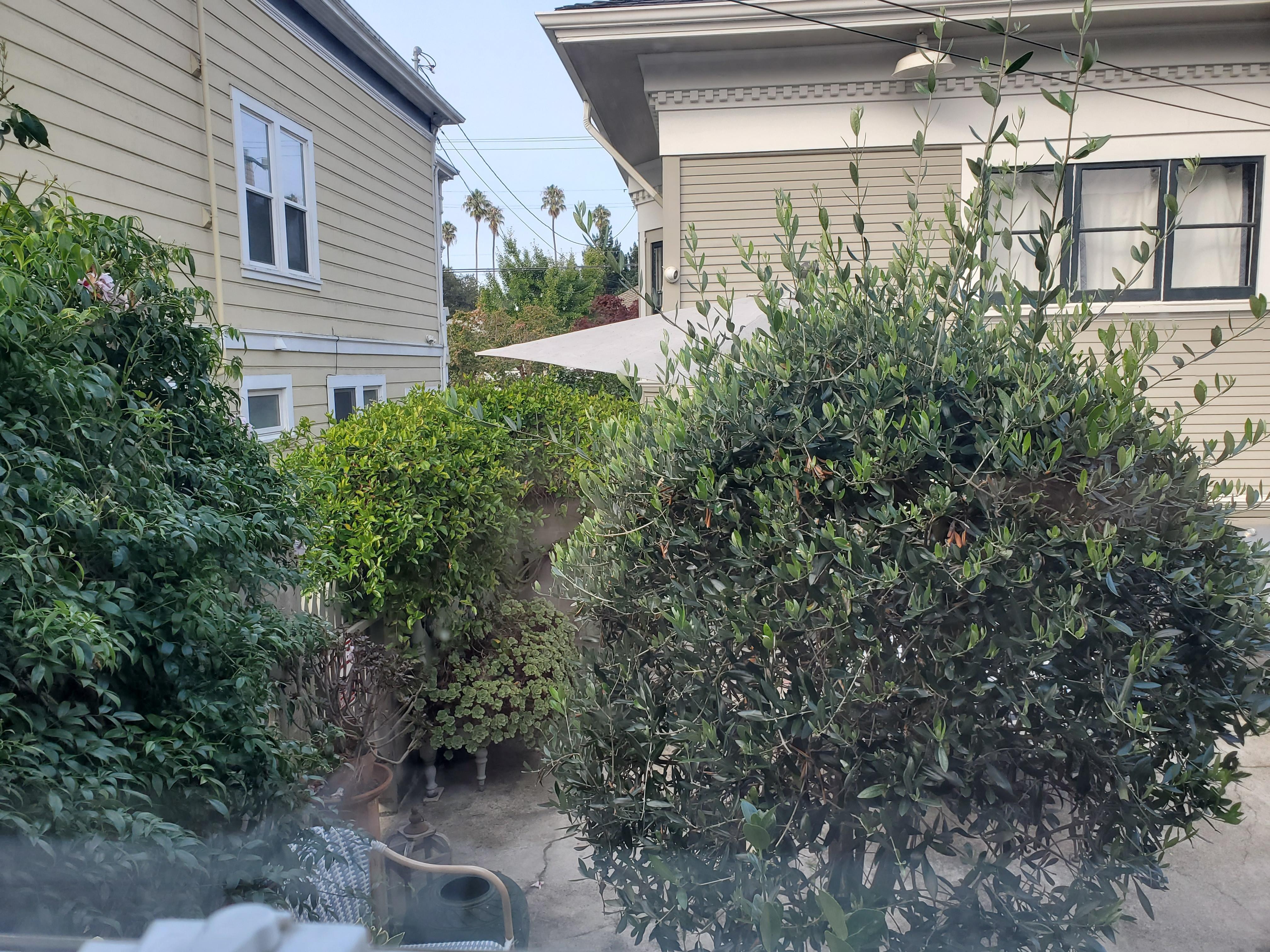 One view out the front window.