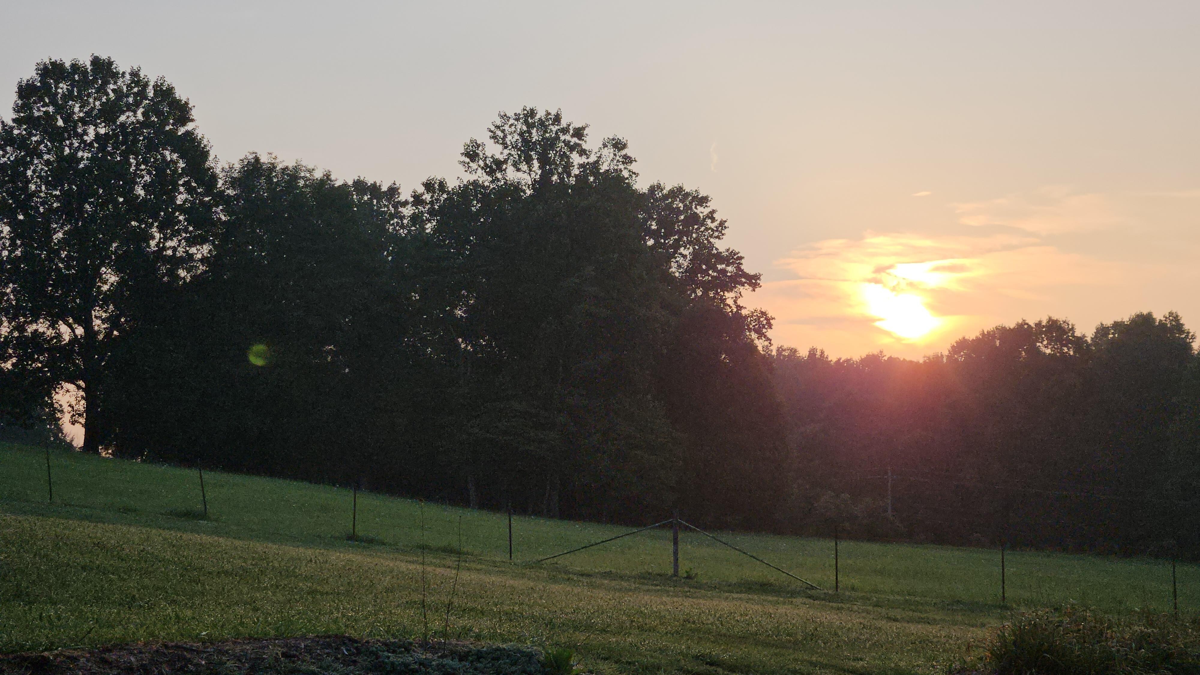 Sunrise