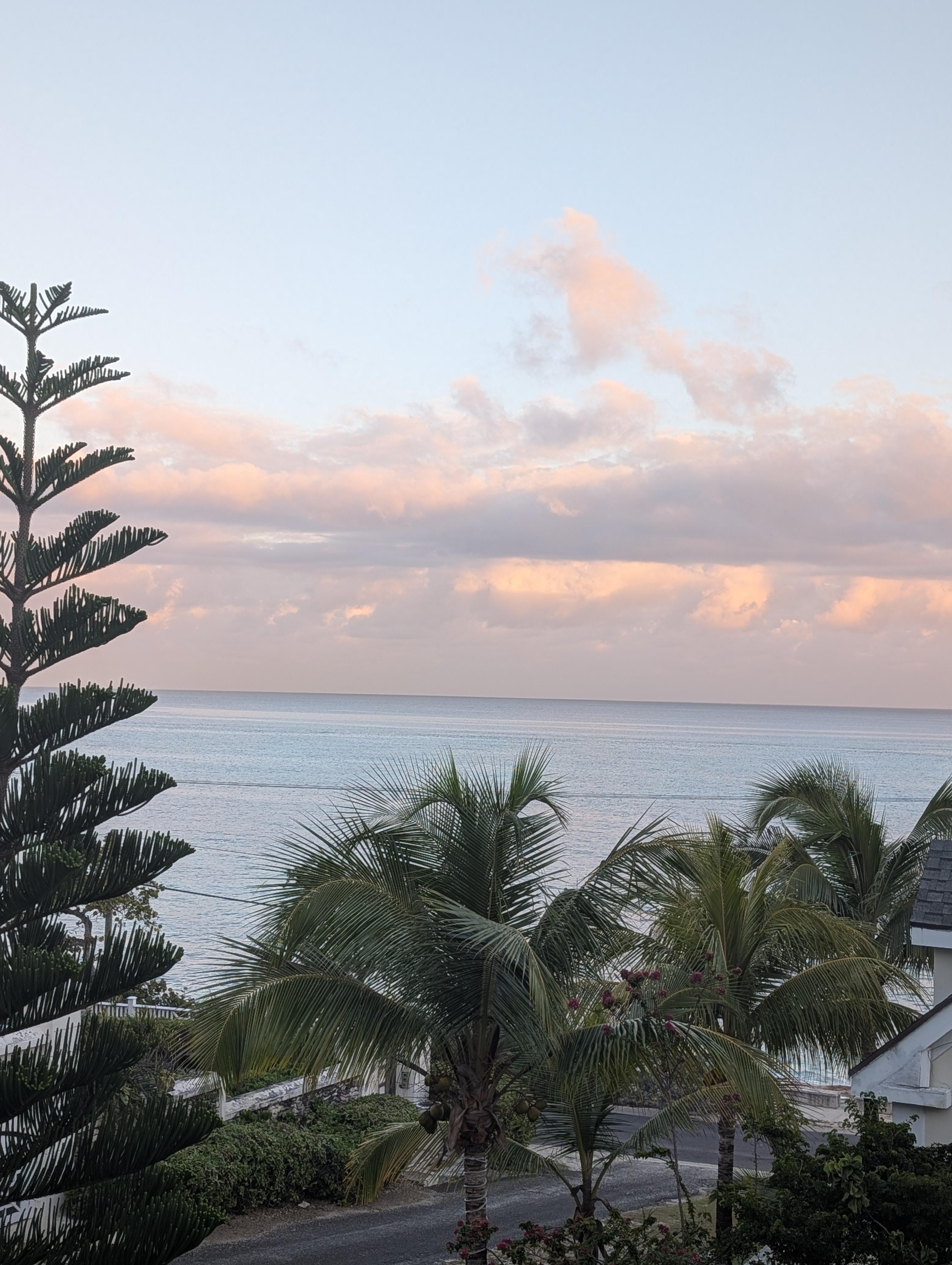 This picture was taken from the front of the house on the deck.  This pine tree is beautiful to the left of the picture.  I have never seen one like it.