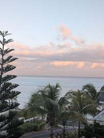This picture was taken from the front of the house on the deck. This pine tree is beautiful to the left of the picture. I have never seen one like it.