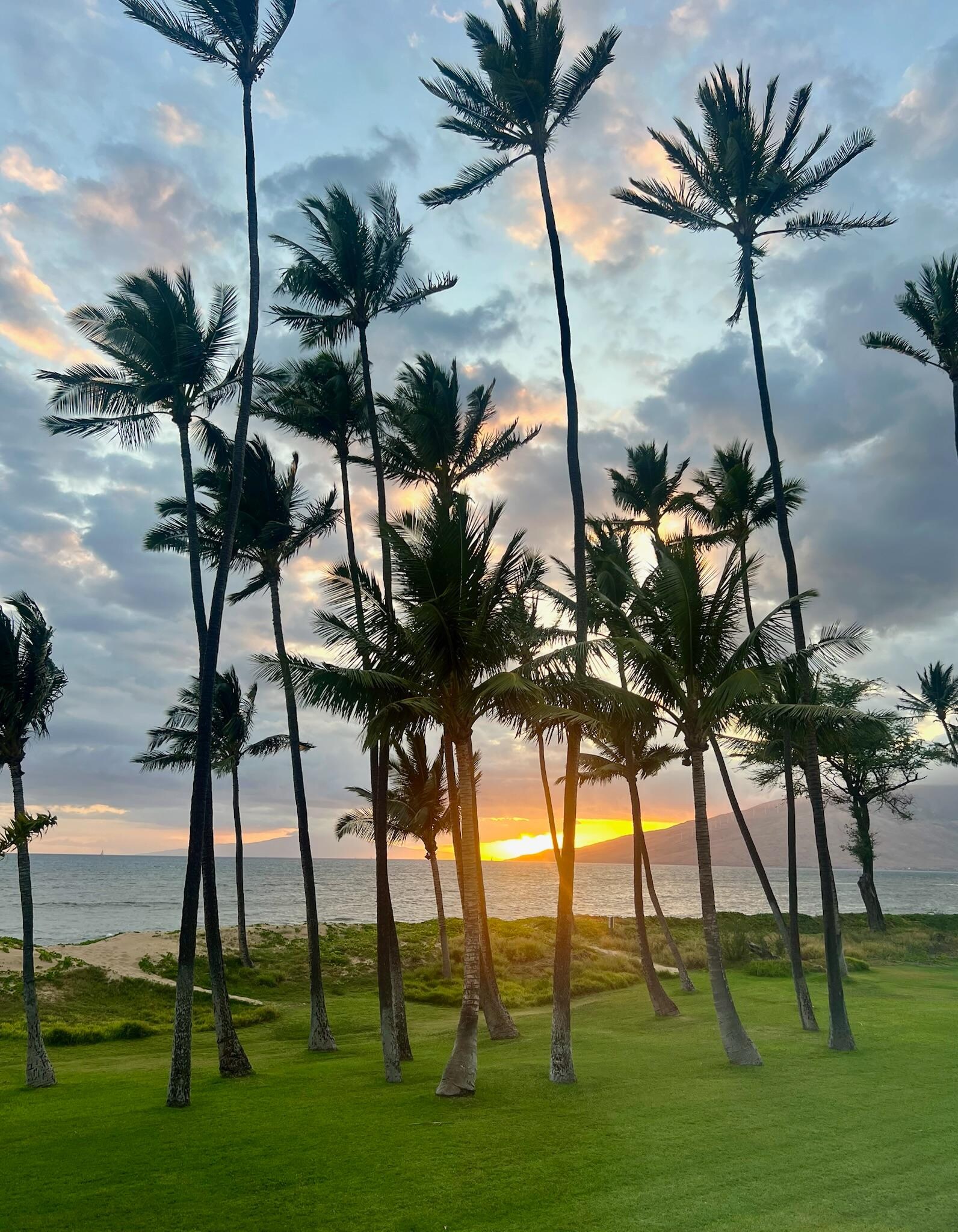 The view at sunset