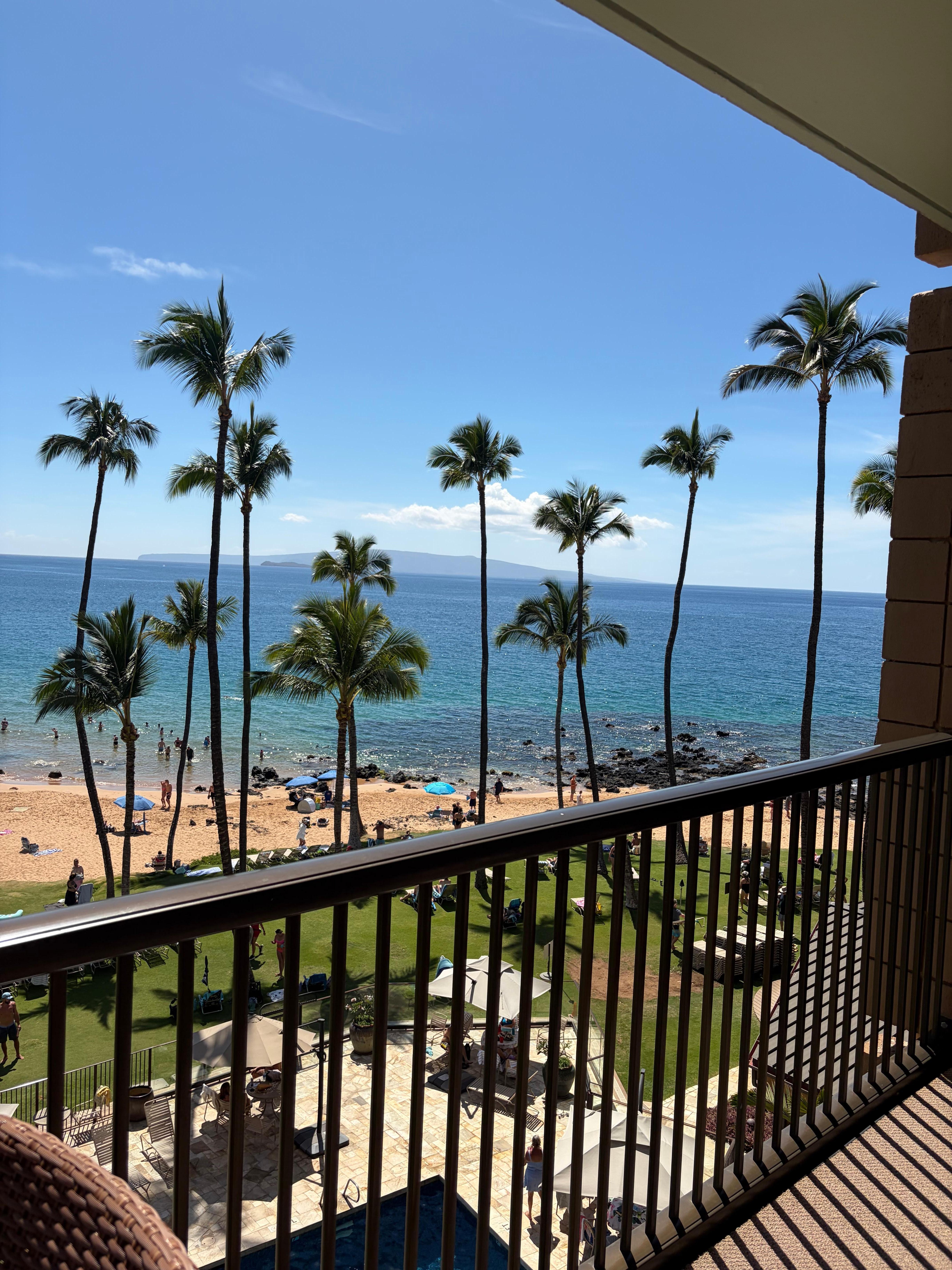 Afternoon view from the lanai. 