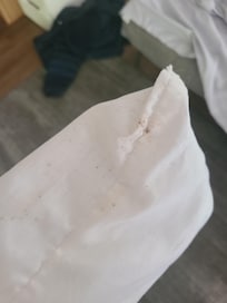 Mold on our pillows.