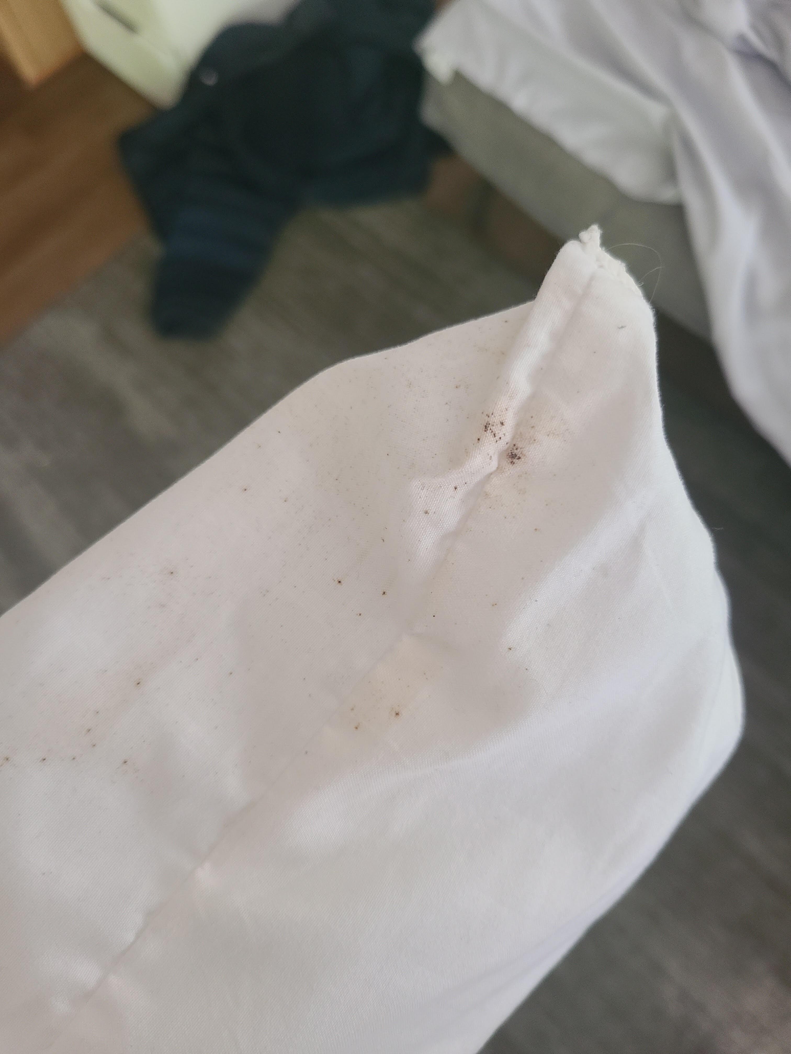Mold on our pillows.