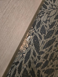 I have no idea what that is. But housekeepers were on the floor and no one vacuumed it up until the next day.