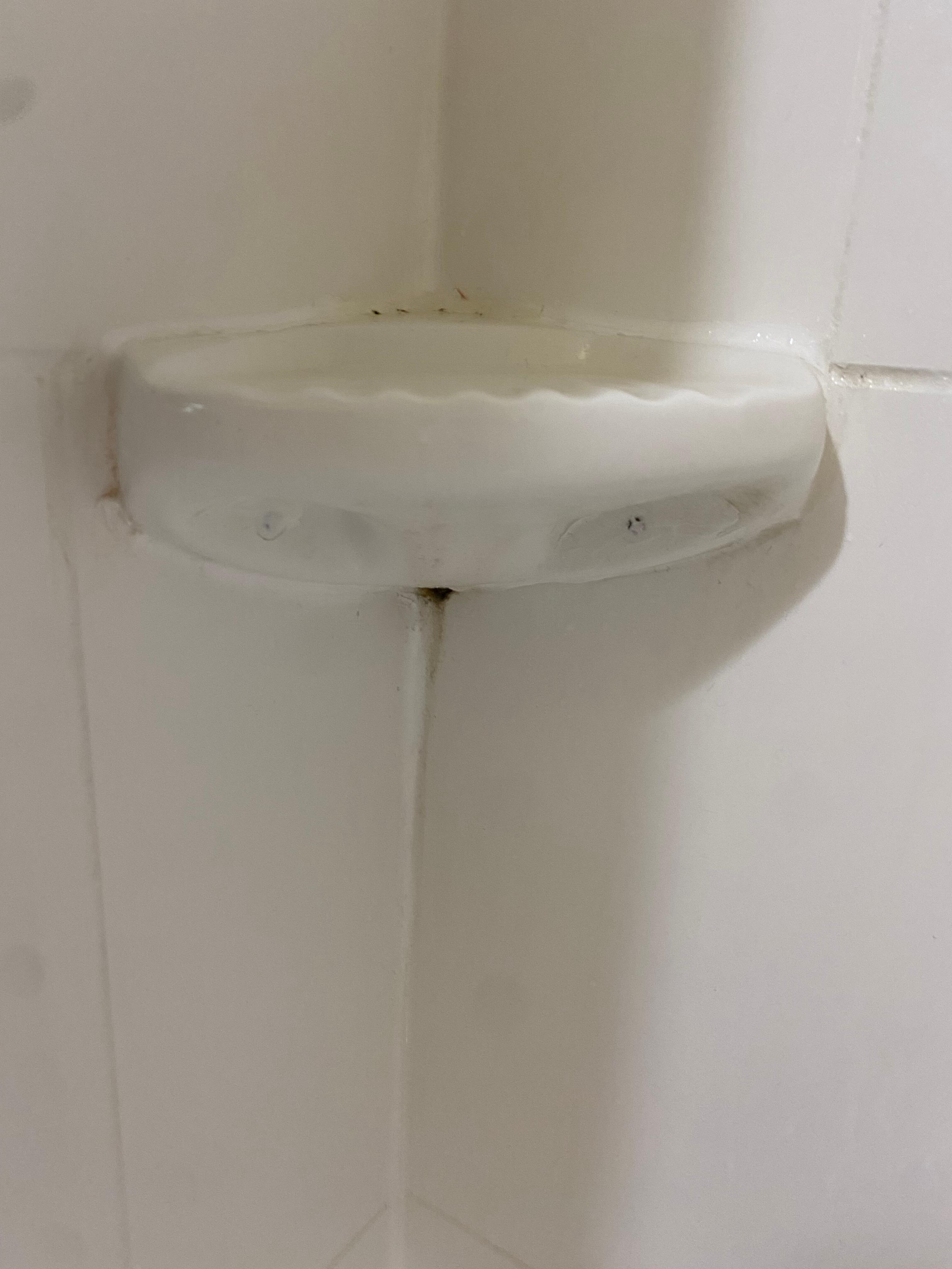 Mold under soap holder