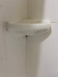 Mold under soap holder