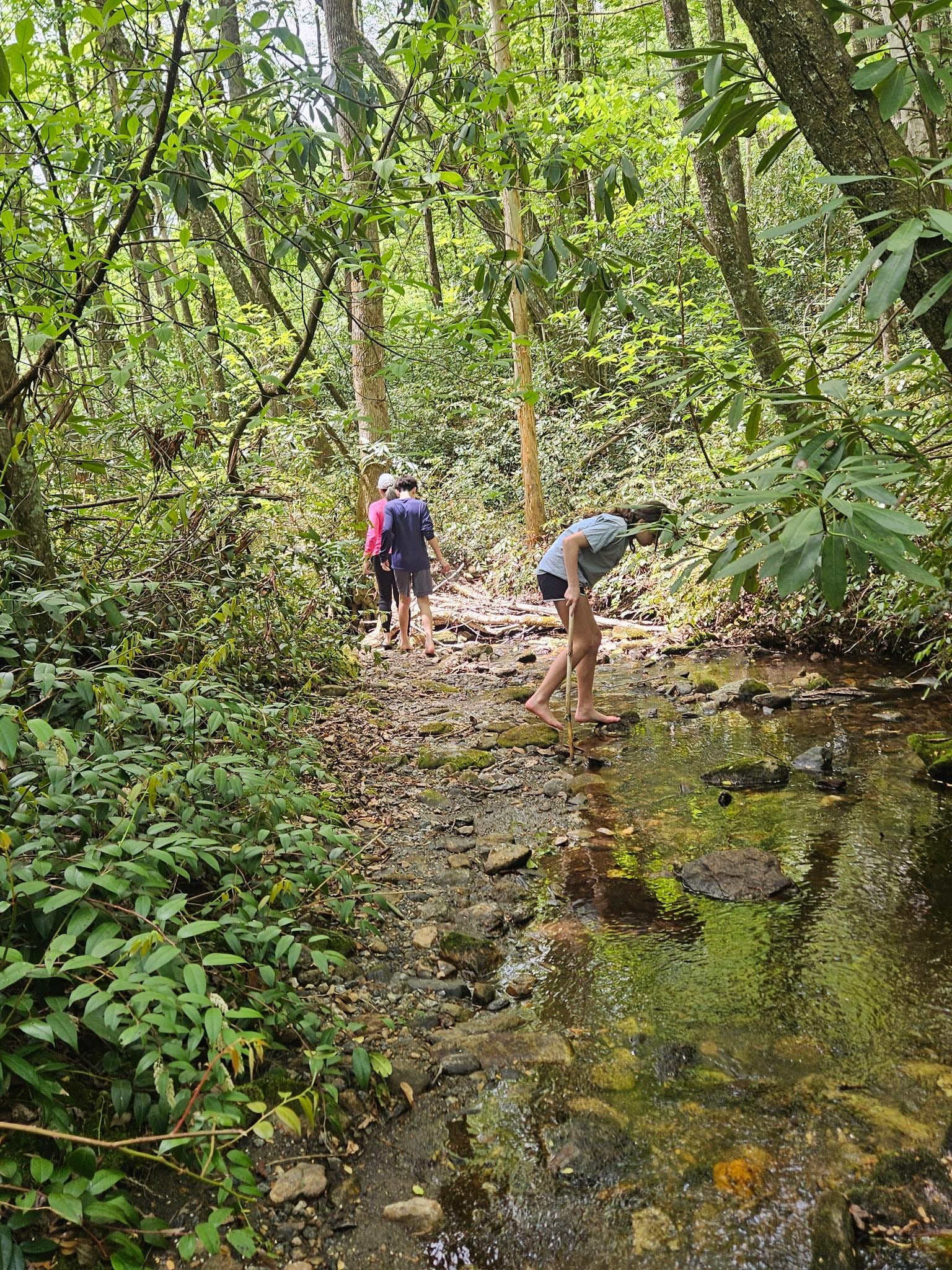 Exploring backyard creek