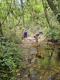 Exploring backyard creek