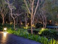 On the library deck in the evening we watch the garden transform to and fair land as the lights come on at dusk, beautiful!
