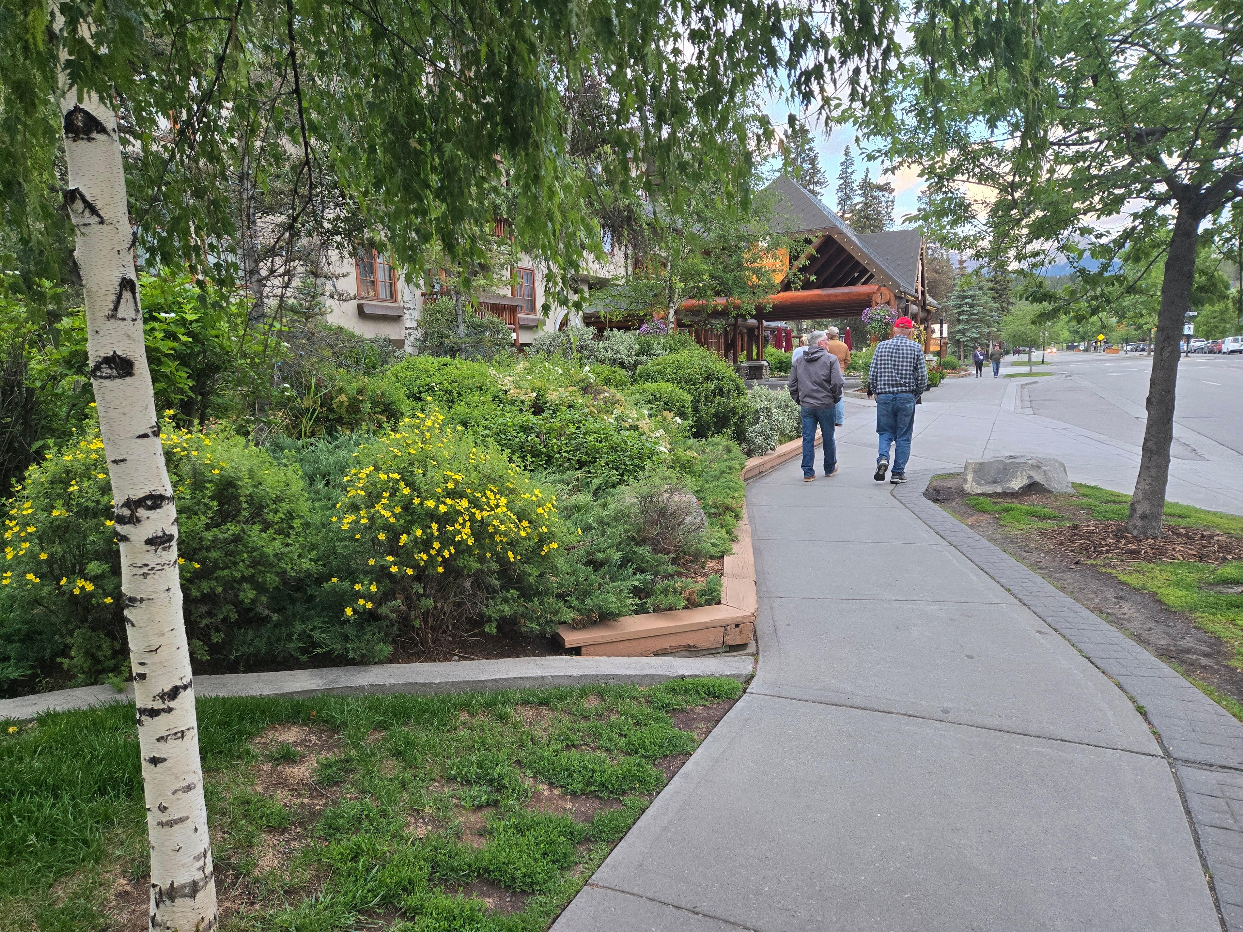 Other part of front landscape