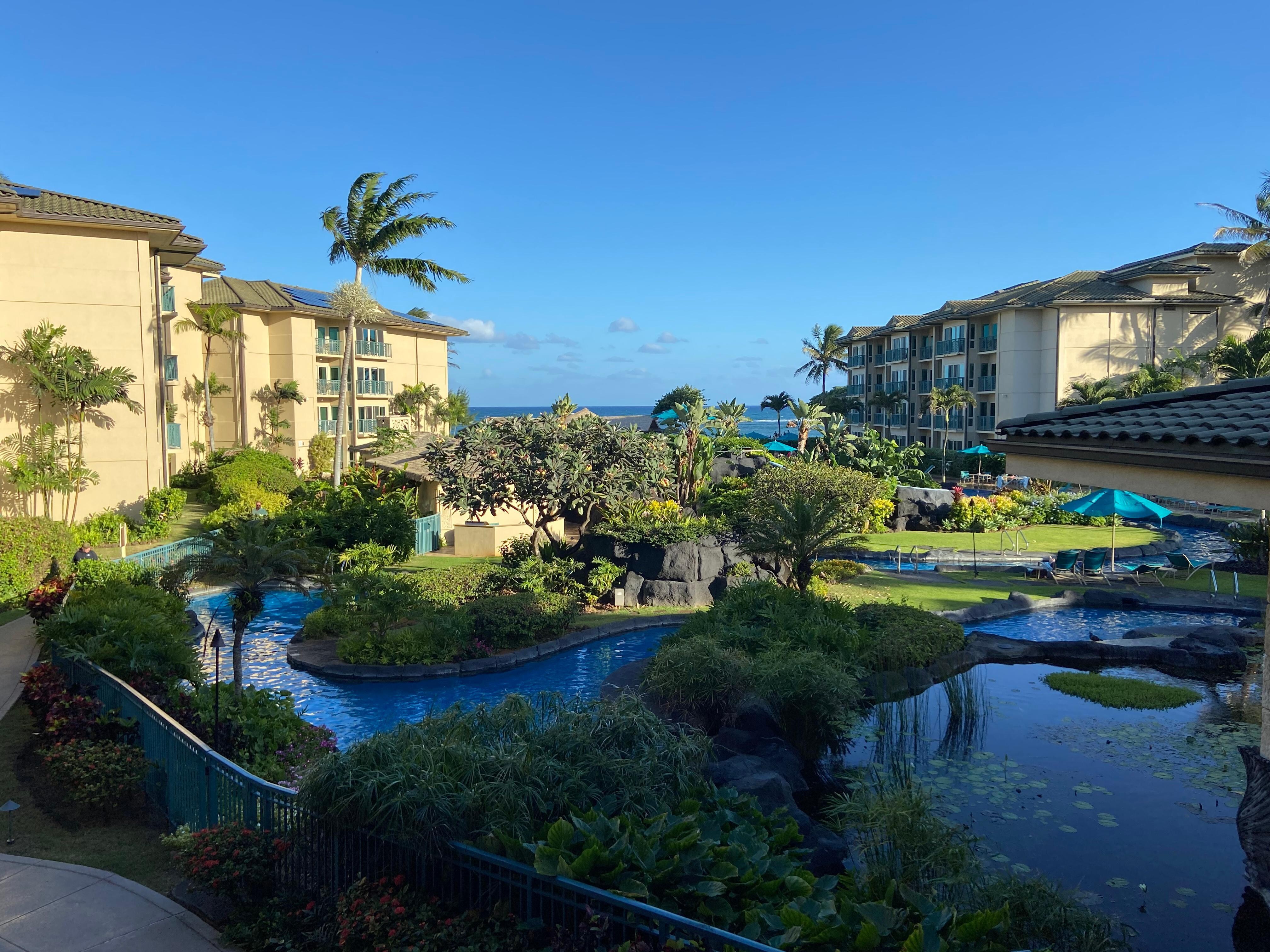 Looking out from Lanai