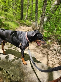 Trail to Skinny Dip Falls